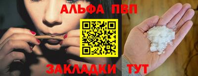 шишки Лесосибирск